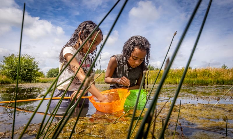 Speelplekken bij het water