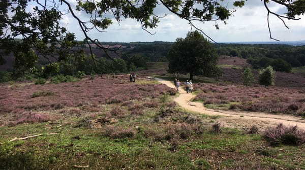 Wandelroute Herikhuizen Kraaijenberg