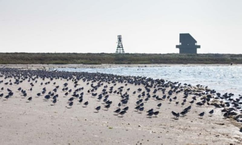 Silhouet van Griend met het “nieuwe huisje” Silhouet van Griend met het “nieuwe huisje”