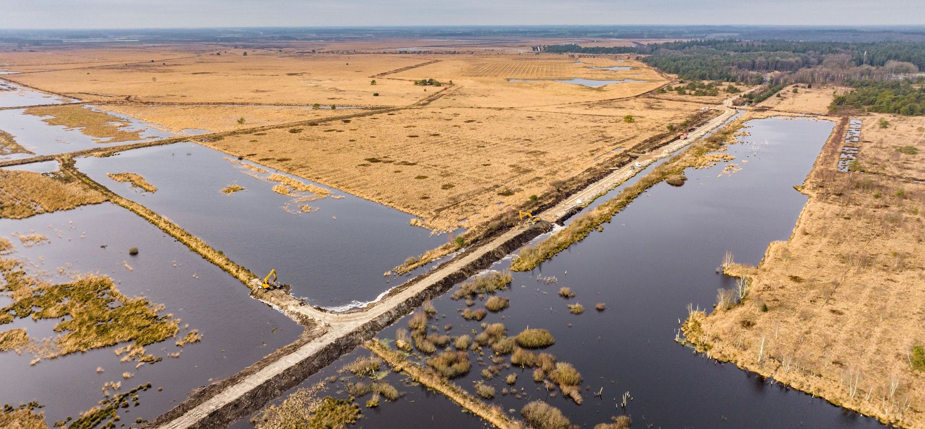 Fochteloërveen natuurherstel - BinnAir