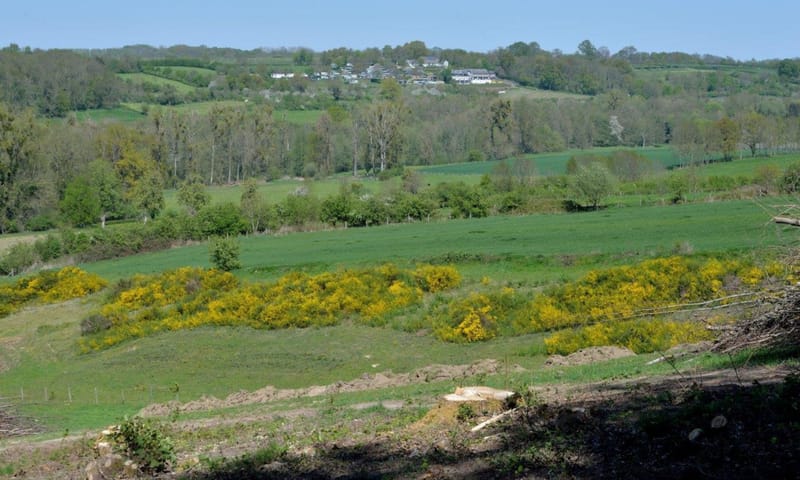 Uitzicht op het Noordal