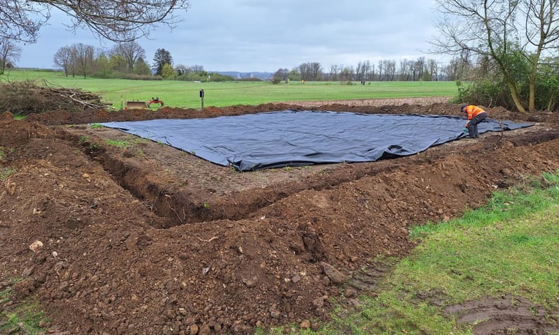 met folie afgedekte Japanse duizendknoop