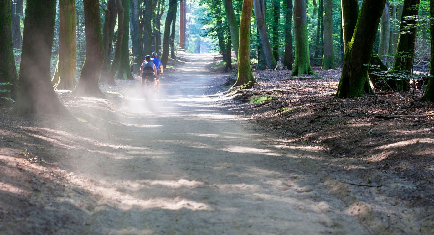 MTB Loonse en Drunense Duinen