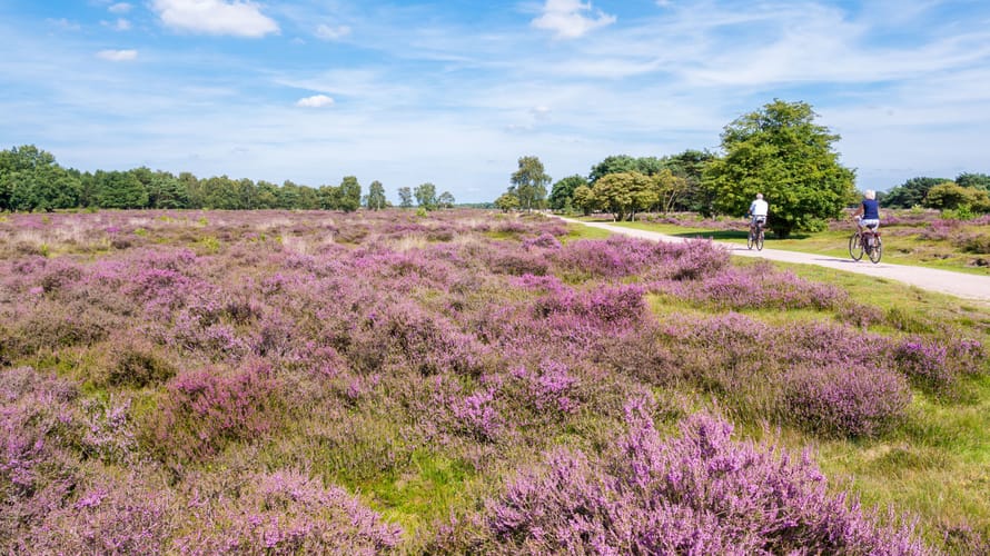 Loonse en Drunense Duinen Loonse en Drunense Duinen