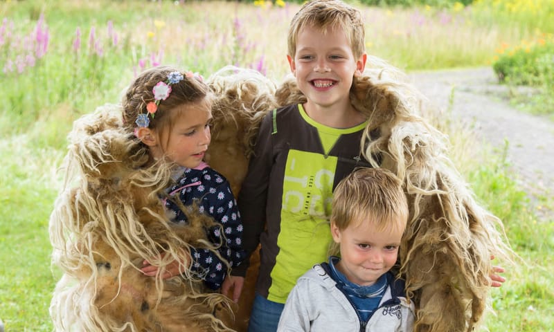 Kinderen in een schapenvacht