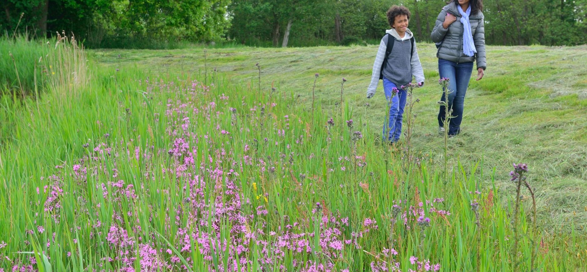 Wandelaars Naardermeer Wandelen bij het Naardermeer