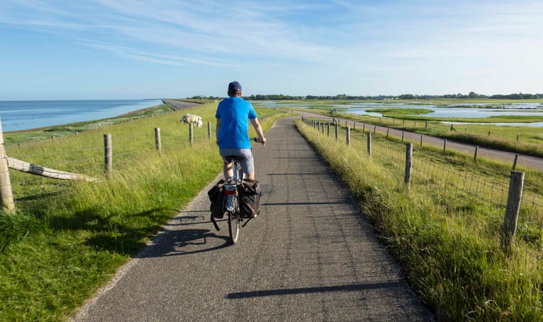 Fietsroute vogelboulevard Texel 