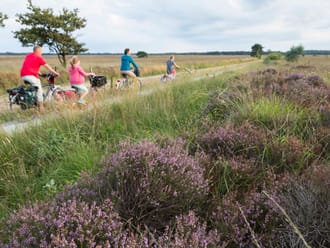 Fietsroute Dwingelderveld
