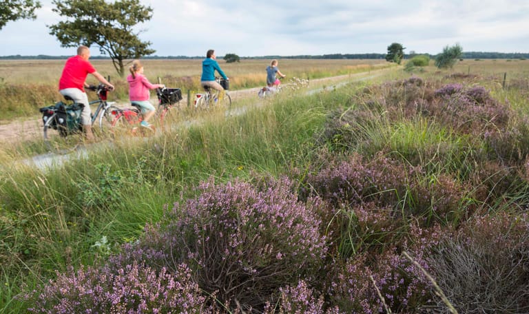 Fietsroute Dwingelderveld