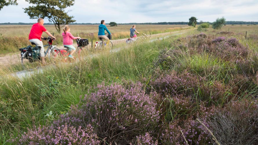 Fietsroute Dwingelderveld