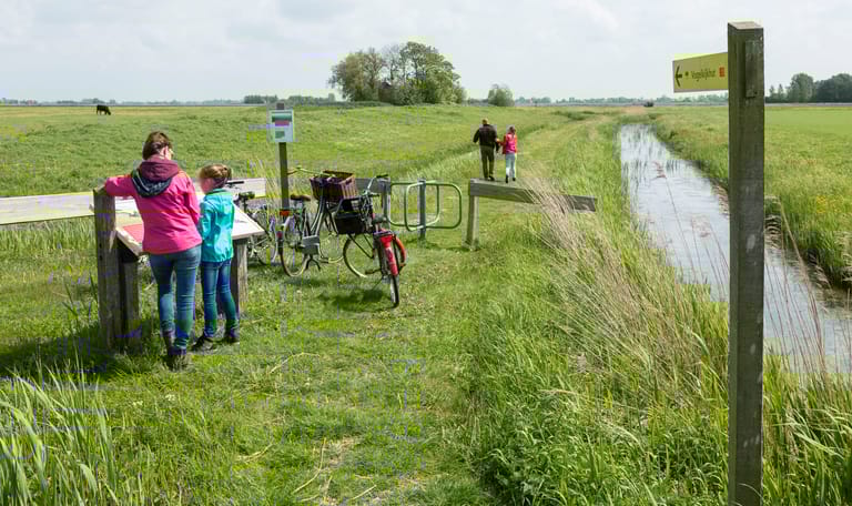 Skrins - Andries de la Lande Cremer