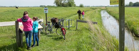 Skrins - Andries de la Lande Cremer