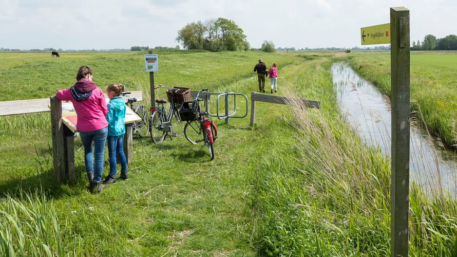 Skrins - Andries de la Lande Cremer