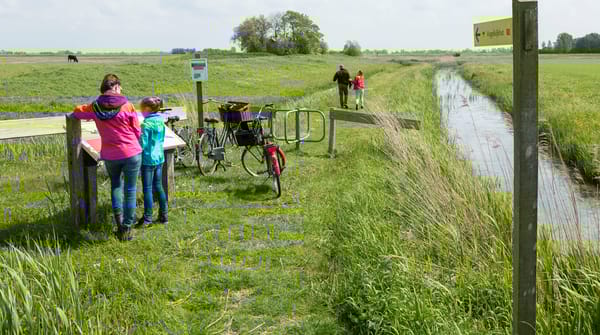 Skrins - Andries de la Lande Cremer