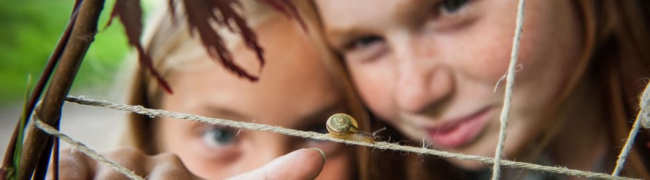 Slakkenrace Slakkenrace