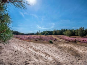 Wandelroute Deelerwoud