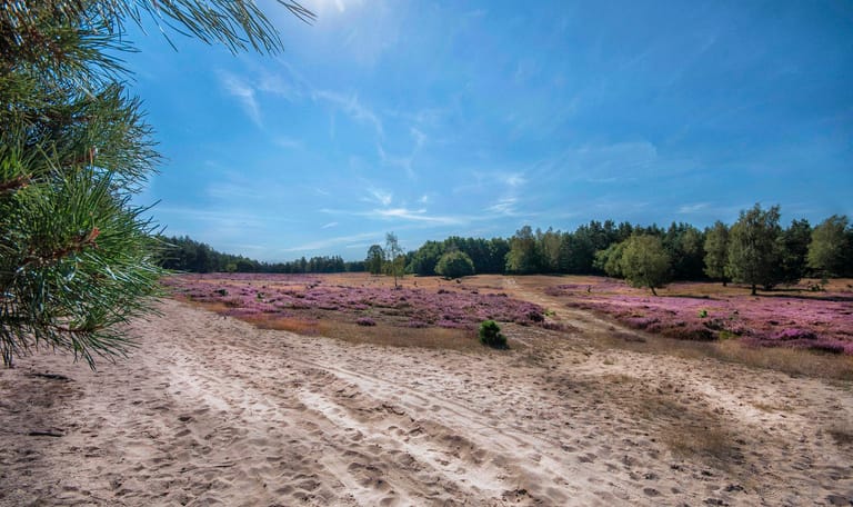 Wandelroute Deelerwoud