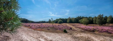 Wandelroute Deelerwoud