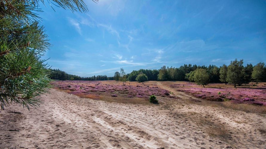 Wandelroute Deelerwoud