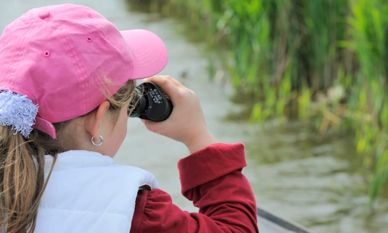 Gezinsvaartocht Vogeleiland