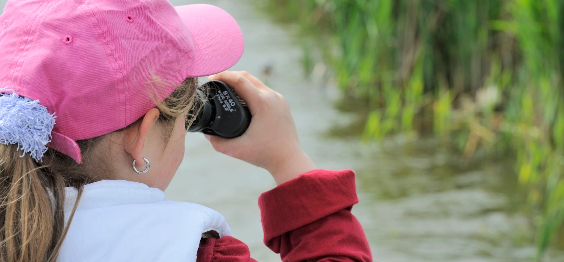 Gezinsvaartocht Vogeleiland