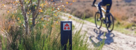 MTB-route in De Loonse en Drunense Duinen