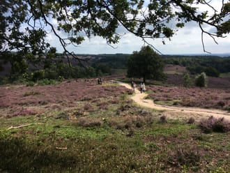 Wandelroute Herikhuizen Kraaijenberg