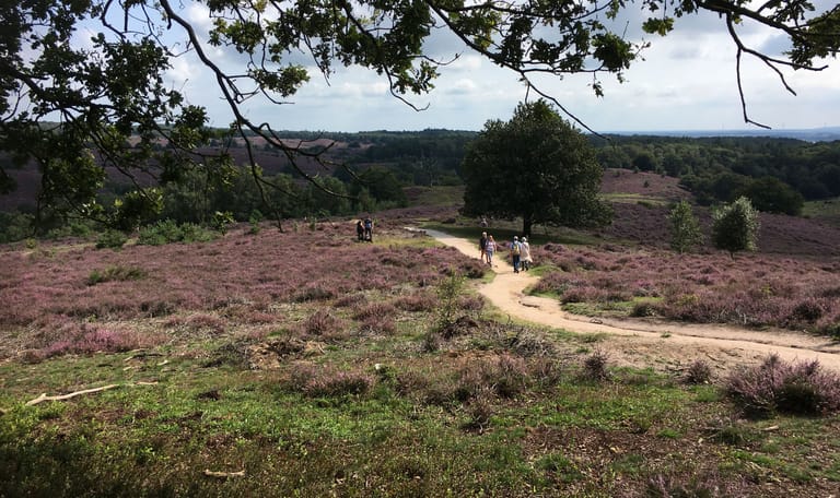 Wandelroute Herikhuizen Kraaijenberg