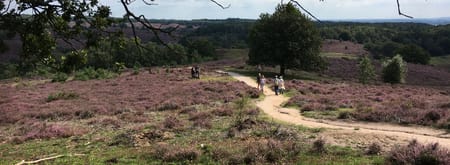 Wandelroute Herikhuizen Kraaijenberg