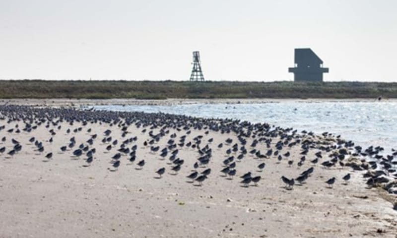 Silhouet van Griend met het “nieuwe huisje” 