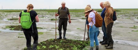 Verdronken Land van Zuid-Beveland