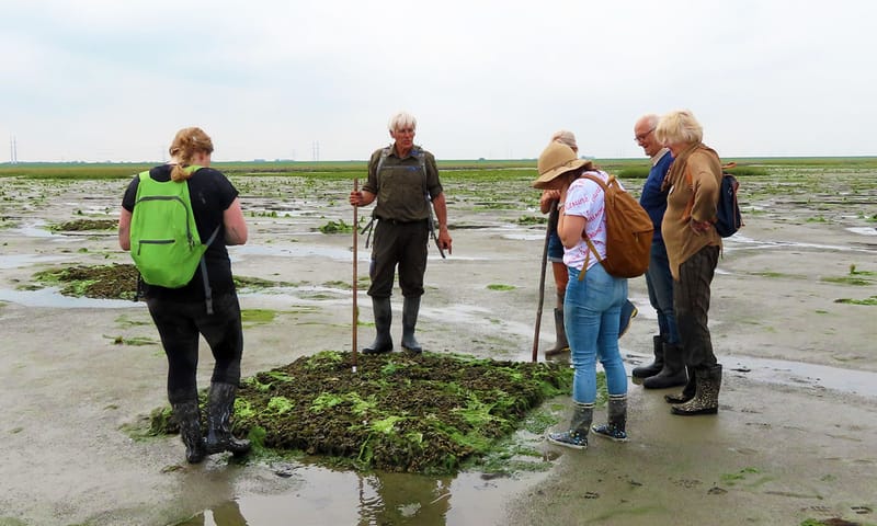 Verdronken Land van Zuid-Beveland