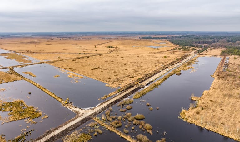 Fochteloërveen natuurherstel - BinnAir