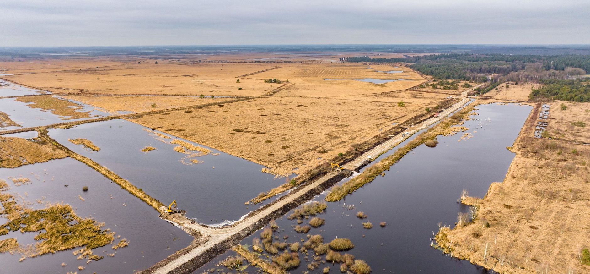 Fochteloërveen natuurherstel - BinnAir