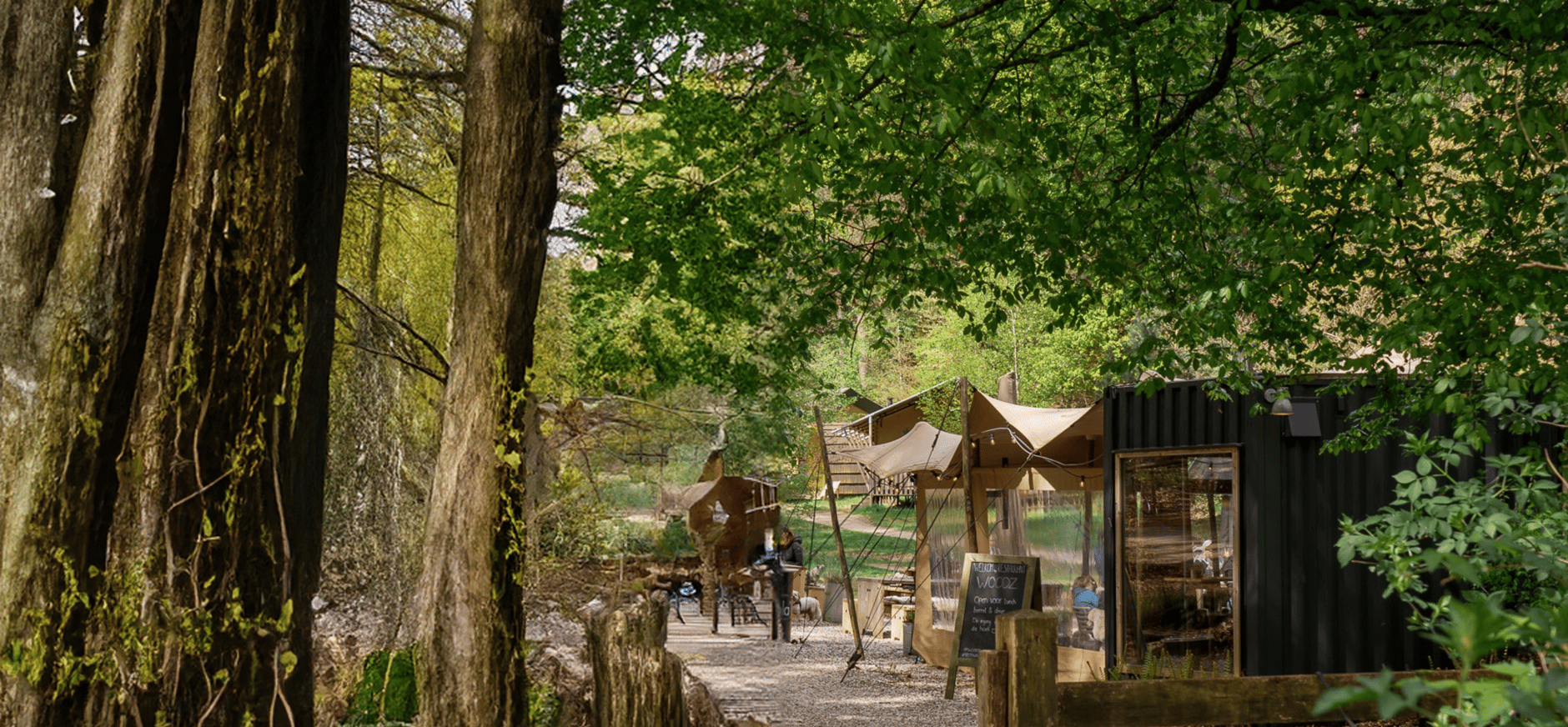 Welkom bij Woodz