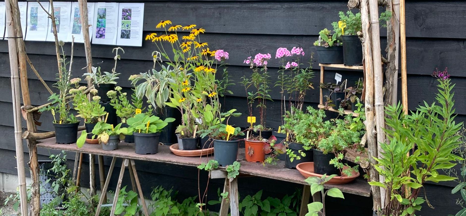 Moestuin Stadzigt Naardermeer