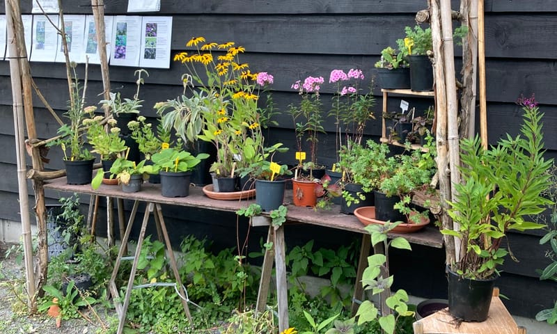 Moestuin Stadzigt Naardermeer