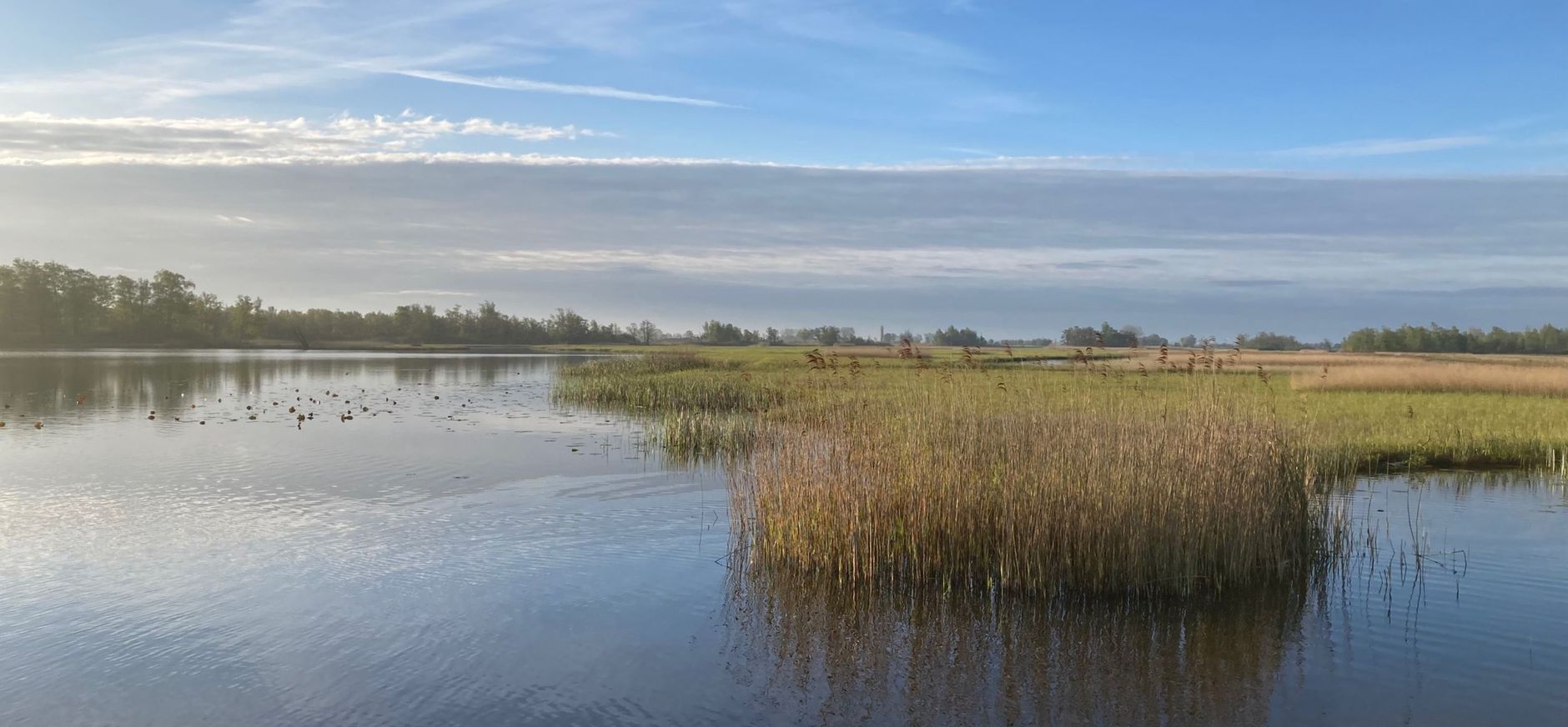 Nieuwkoopse Plassen