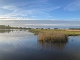 Nieuwkoopse Plassen