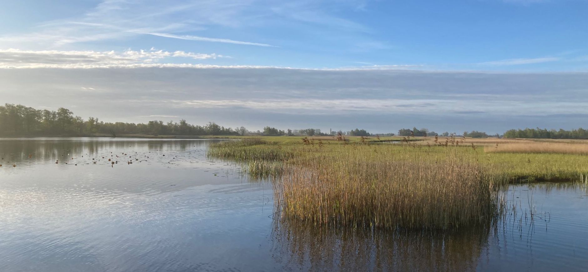 Nieuwkoopse Plassen