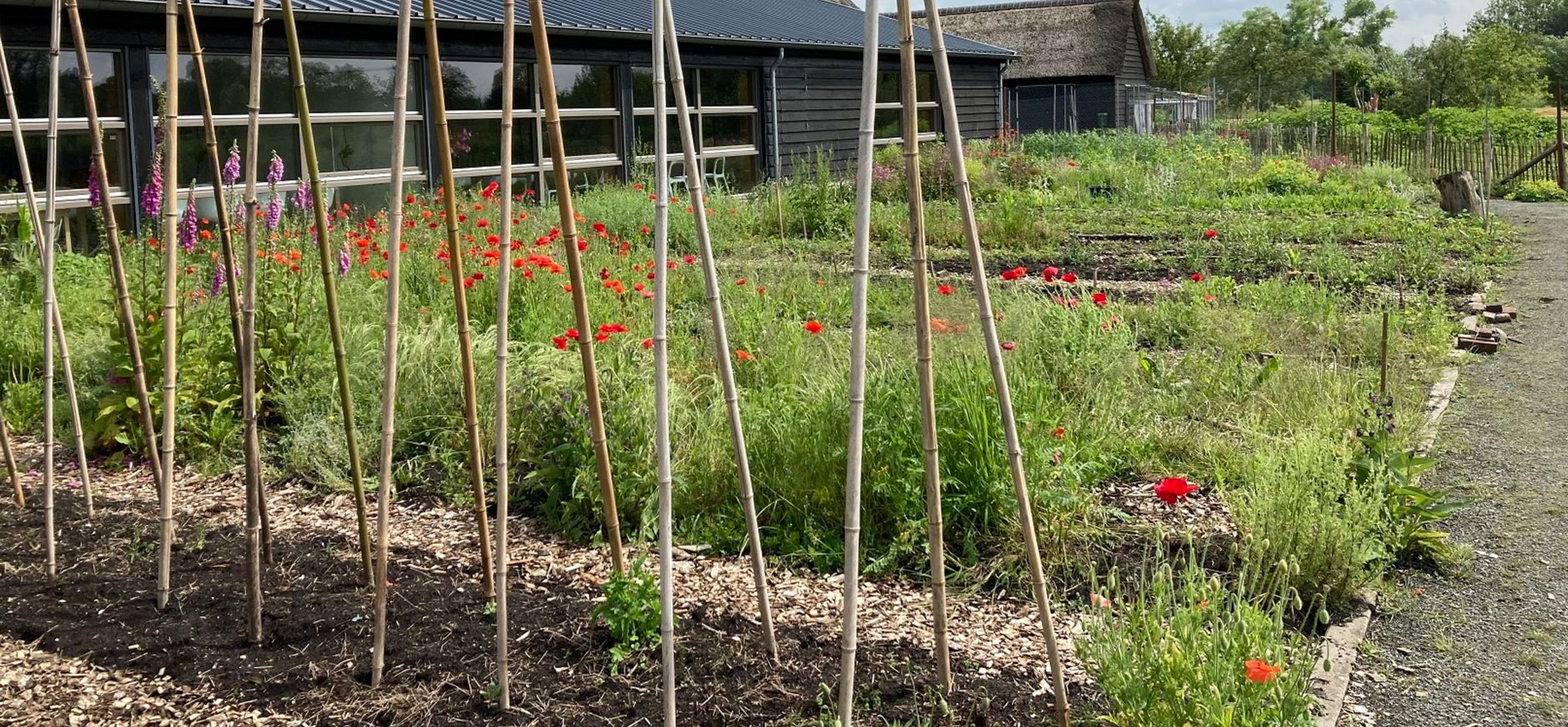 Moestuin Stadzigt - Naardermeer