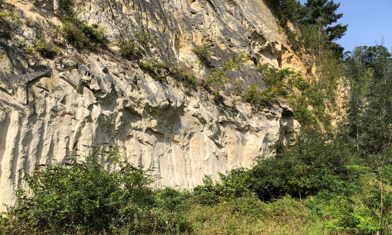 oehoevallei