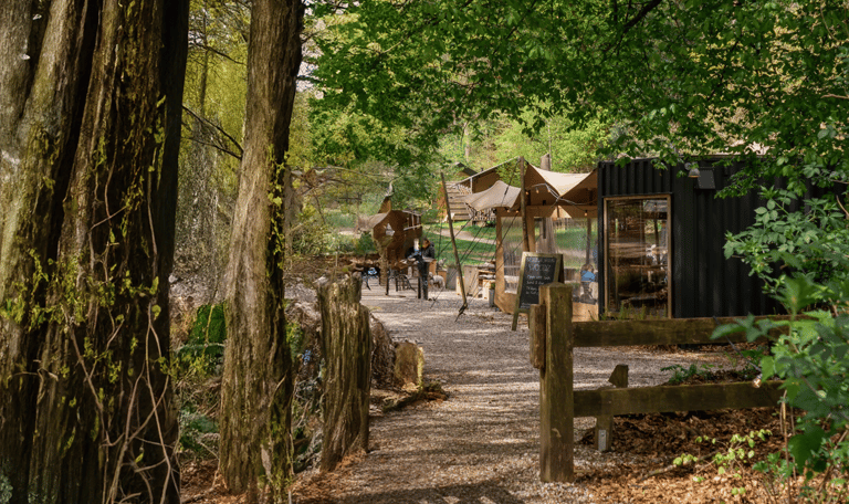 Welkom bij Woodz