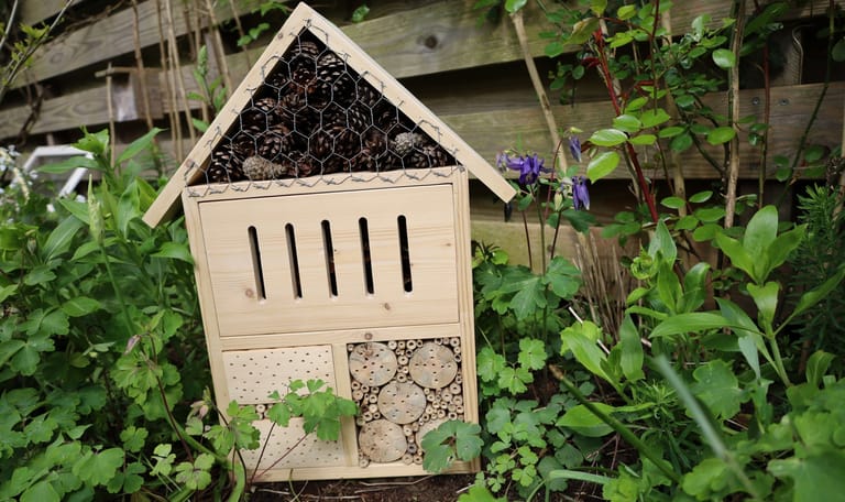 Zo komt je bij- en vlinderkast eruit te zien