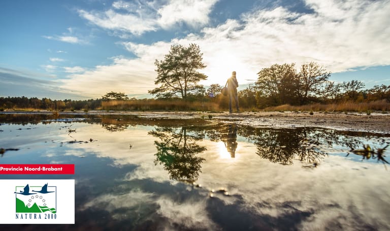 Kleine Meer: een prachtig ven dat meer water nodig heeft.