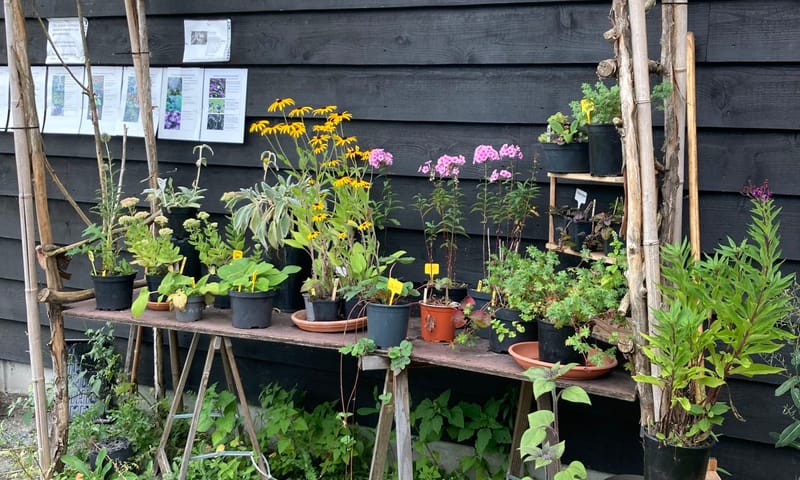 Moestuin Stadzigt Naardermeer