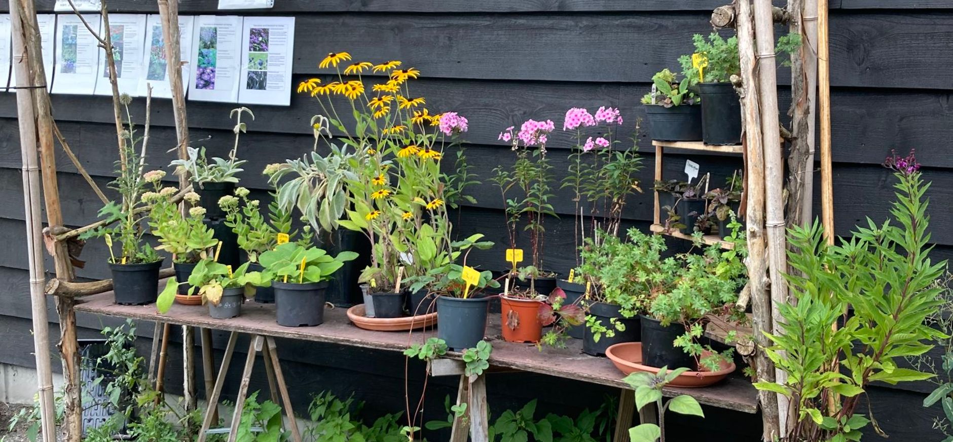 Moestuin Stadzigt Naardermeer