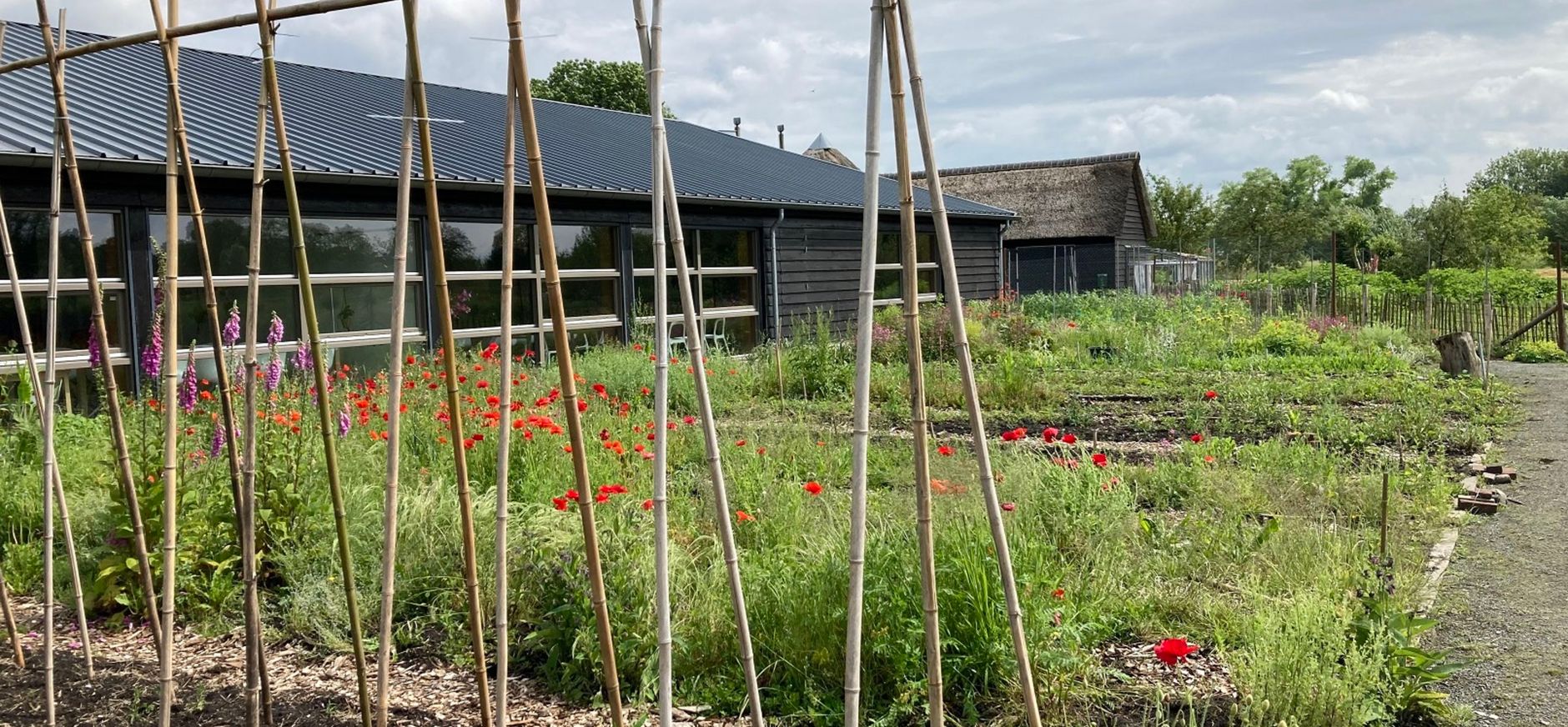 Moestuin Stadzigt - Naardermeer