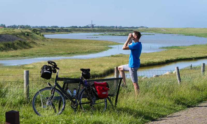 Vogelboulevard Texel, Noord-Holland