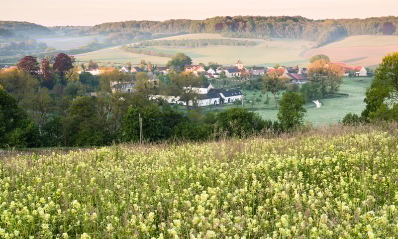 Uitzicht vanaf de Däölkesberg, de weide op de voorgrond kleurt geel van de harige ratelaar